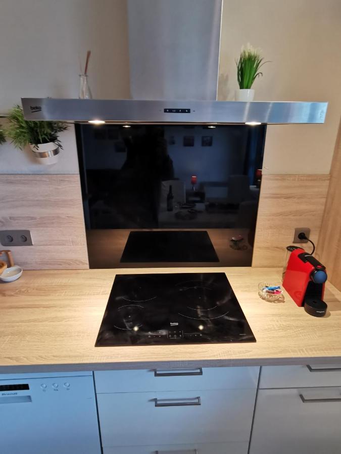 Le Duplex - Hyper Centre - Gare - Wifi - Netflix - Disney + Annecy Eksteriør bilde